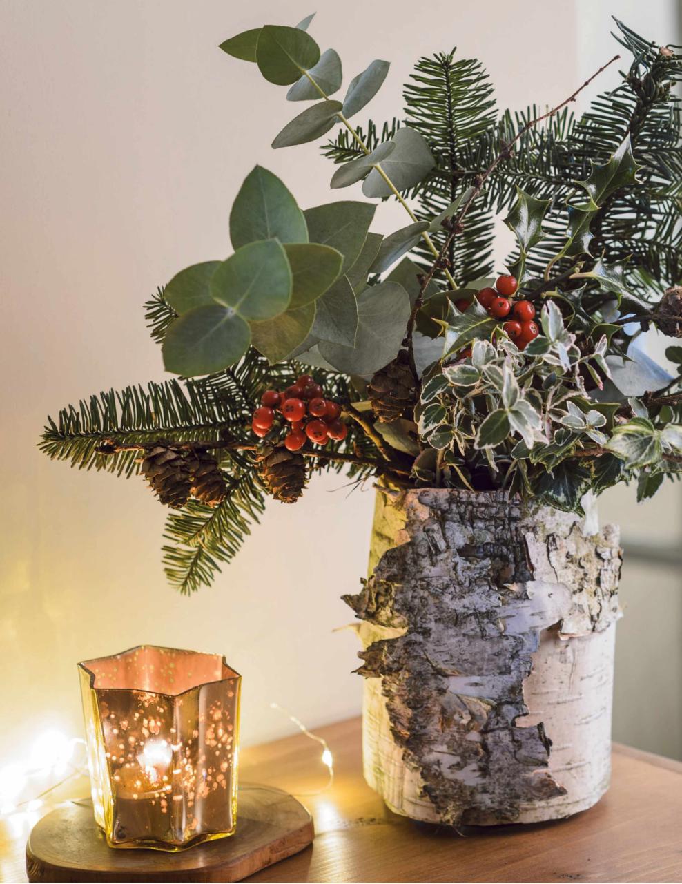 BBC Gardeners’ World Magazine Preview Pages