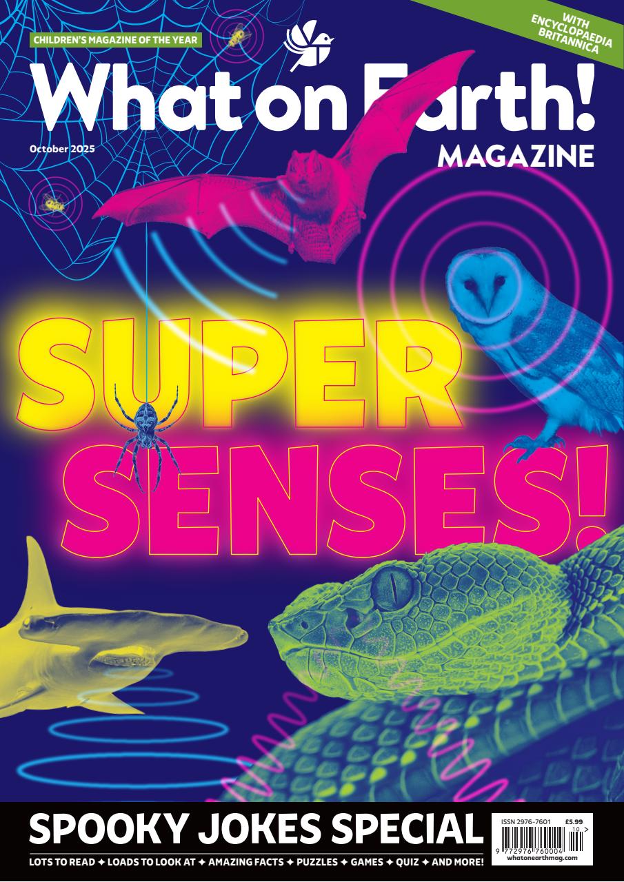 What on Earth! Magazine Preview Pages