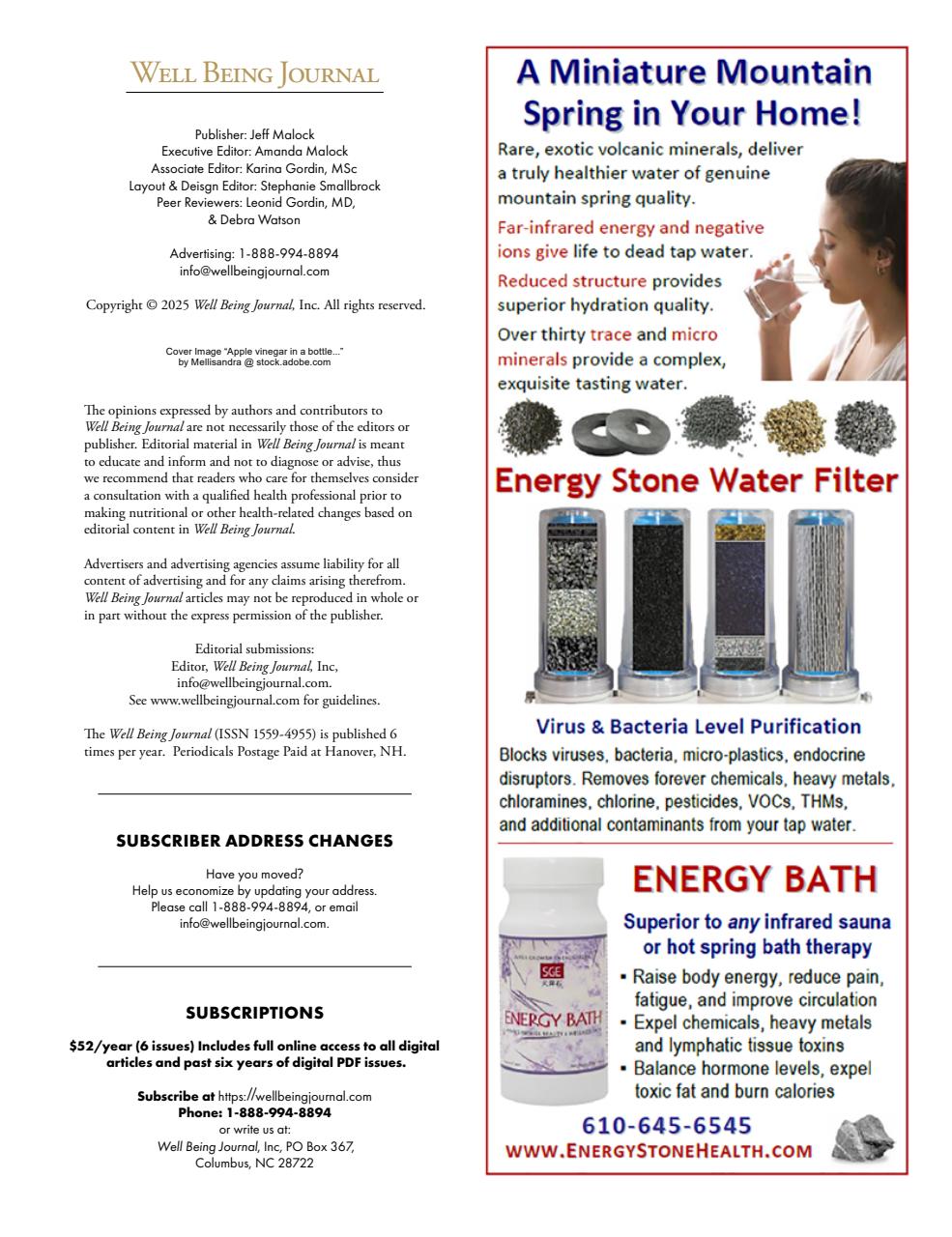 Well Being Journal Preview Pages