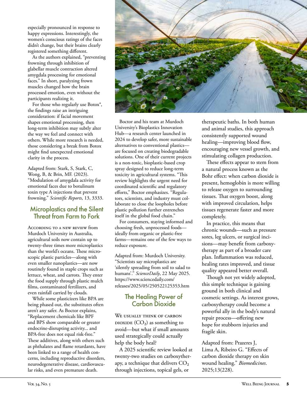 Well Being Journal Preview Pages