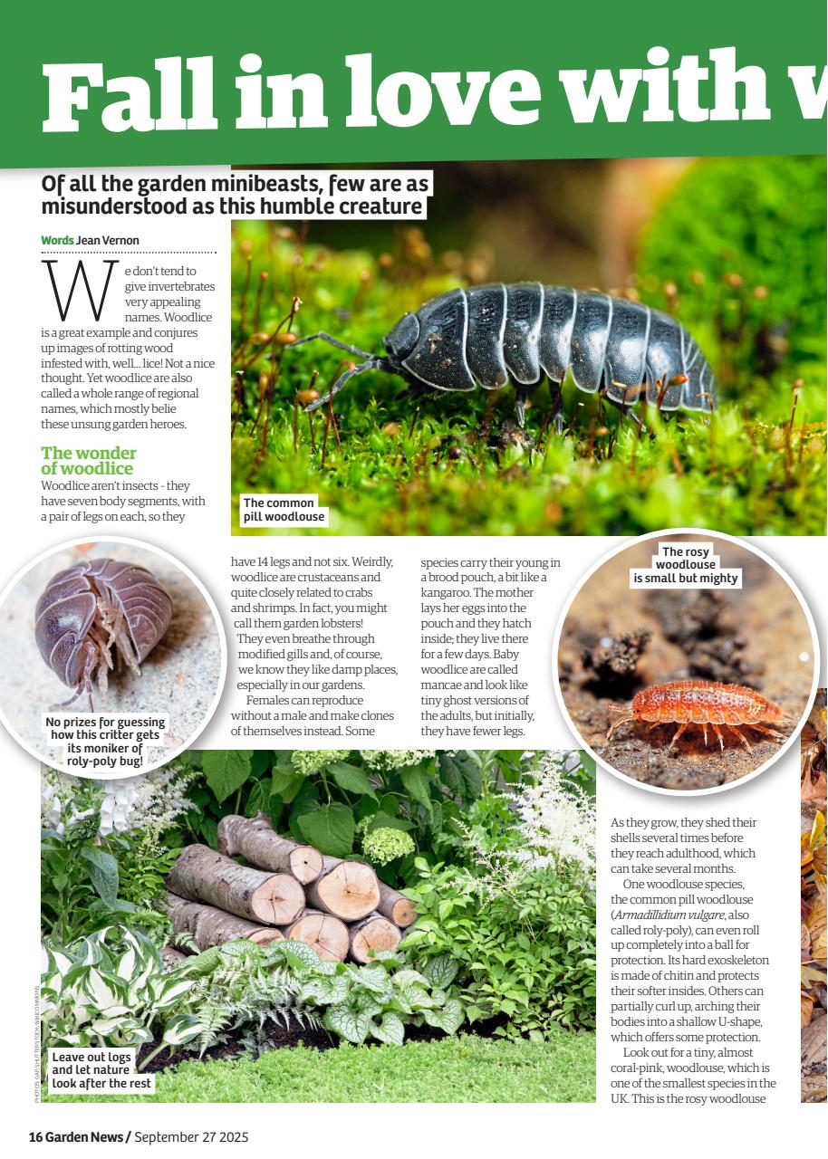 Garden News Preview Pages