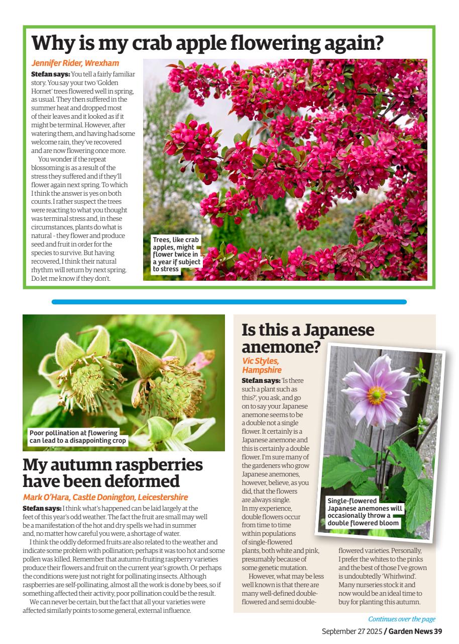 Garden News Preview Pages
