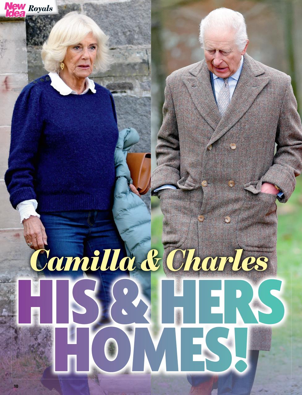 New Idea Preview Pages