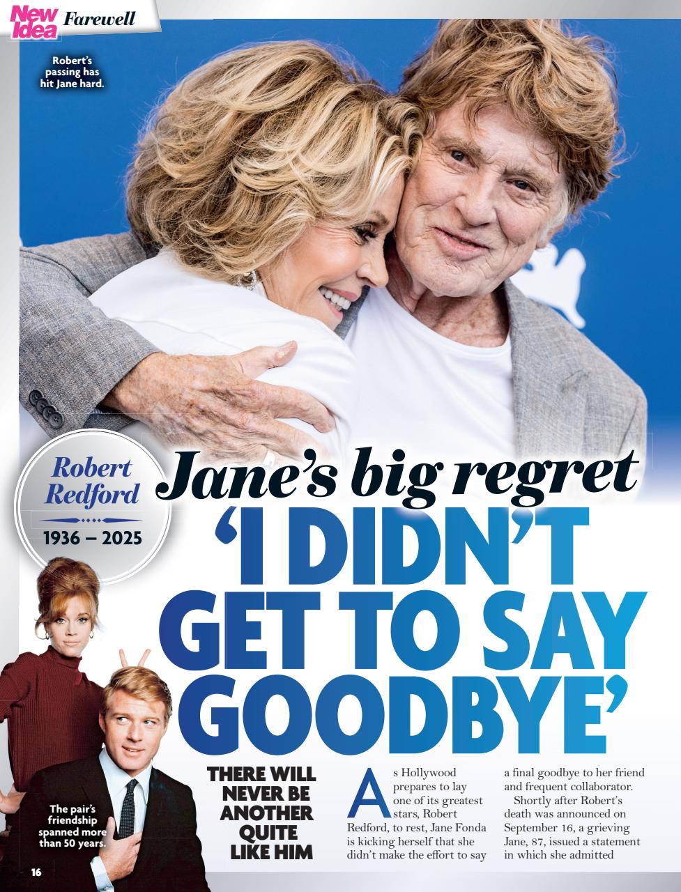 New Idea Preview Pages