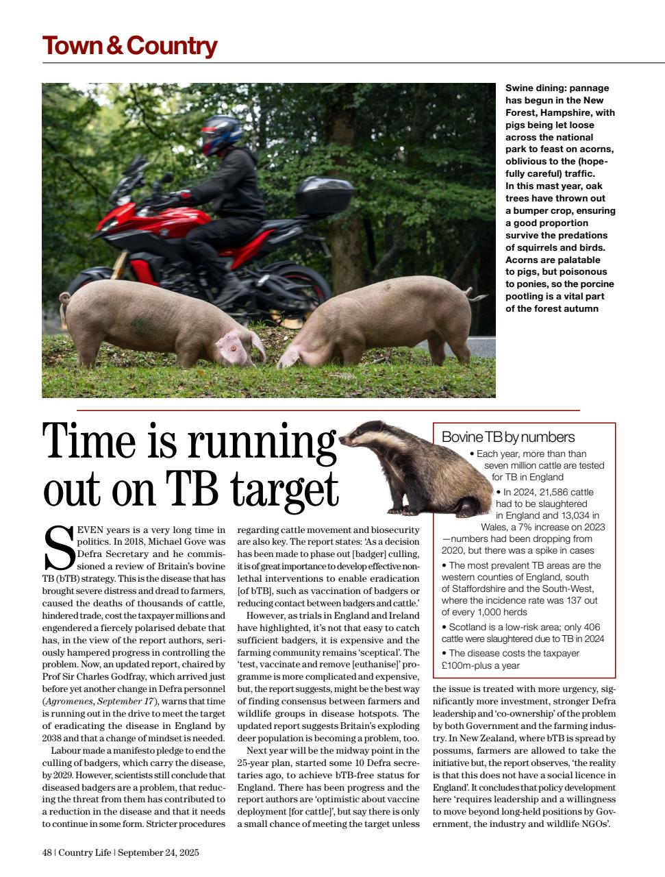 Country Life Preview Pages