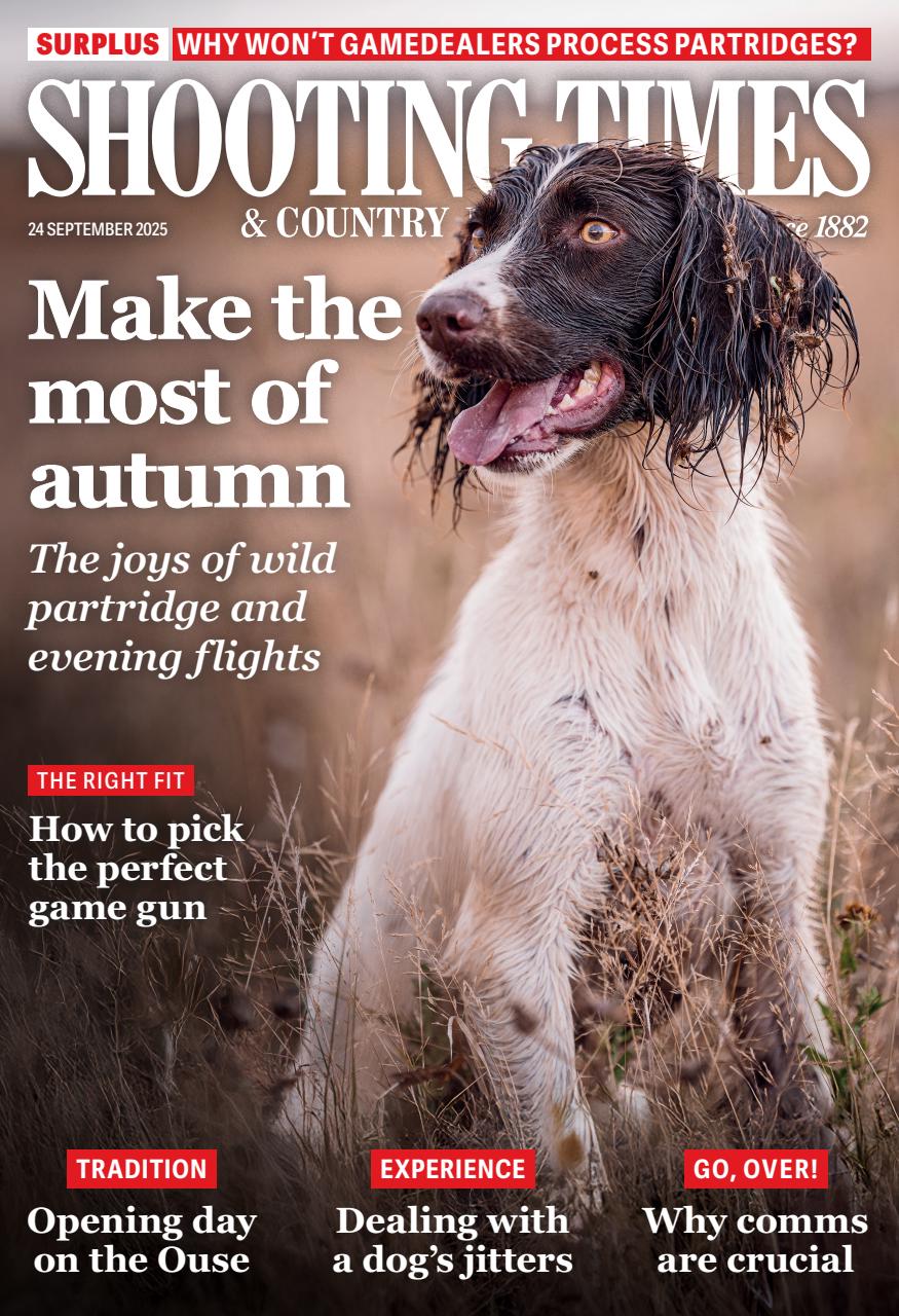 Shooting Times & Country Preview Pages