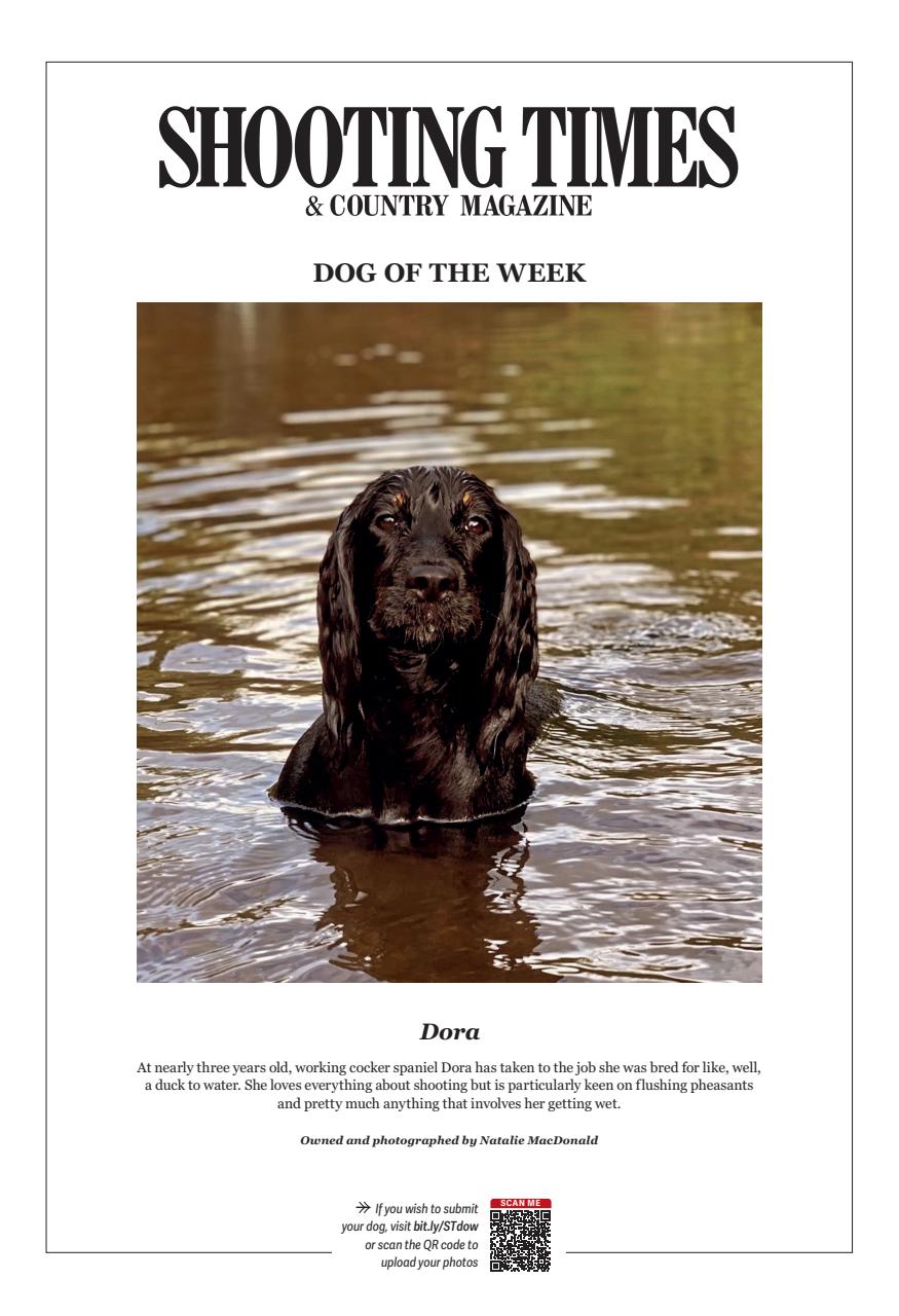 Shooting Times & Country Preview Pages