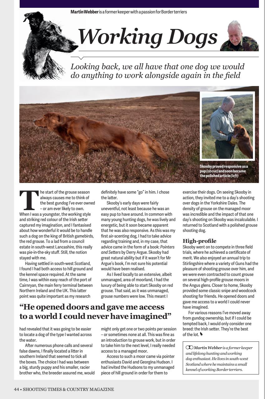 Shooting Times & Country Preview Pages