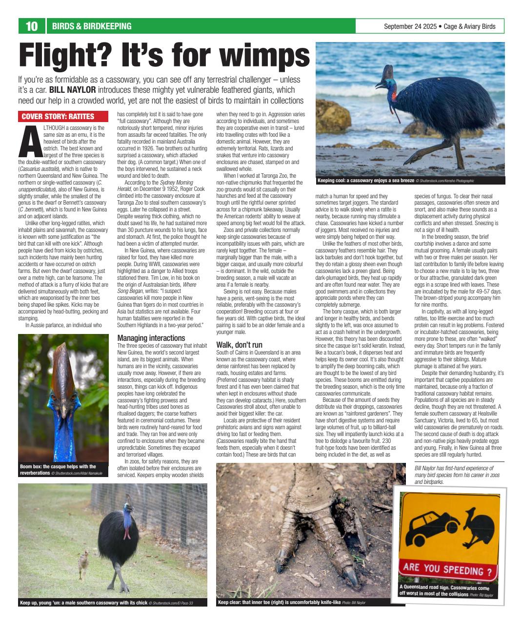 Cage & Aviary Birds Preview Pages