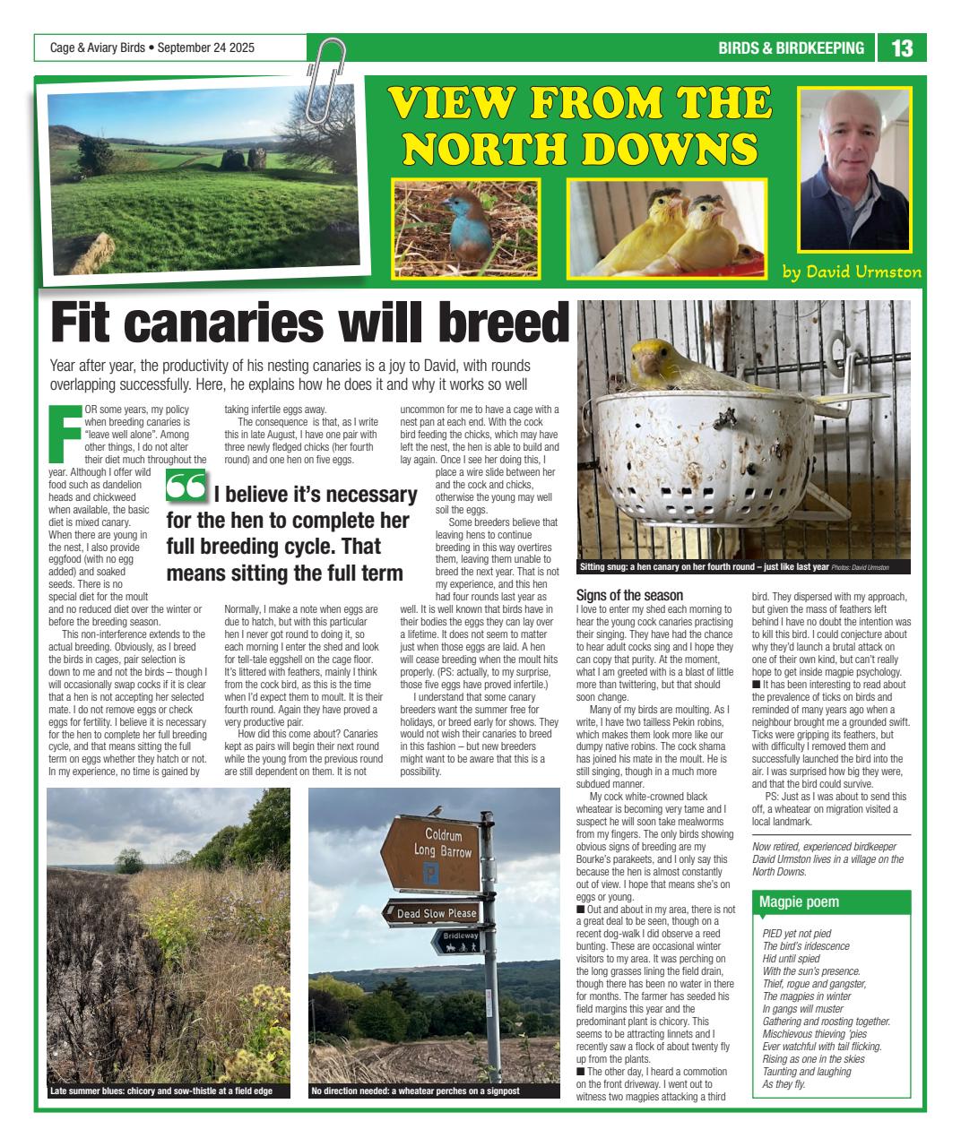 Cage & Aviary Birds Preview Pages