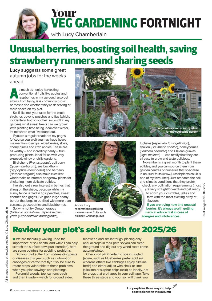 Amateur Gardening Preview Pages