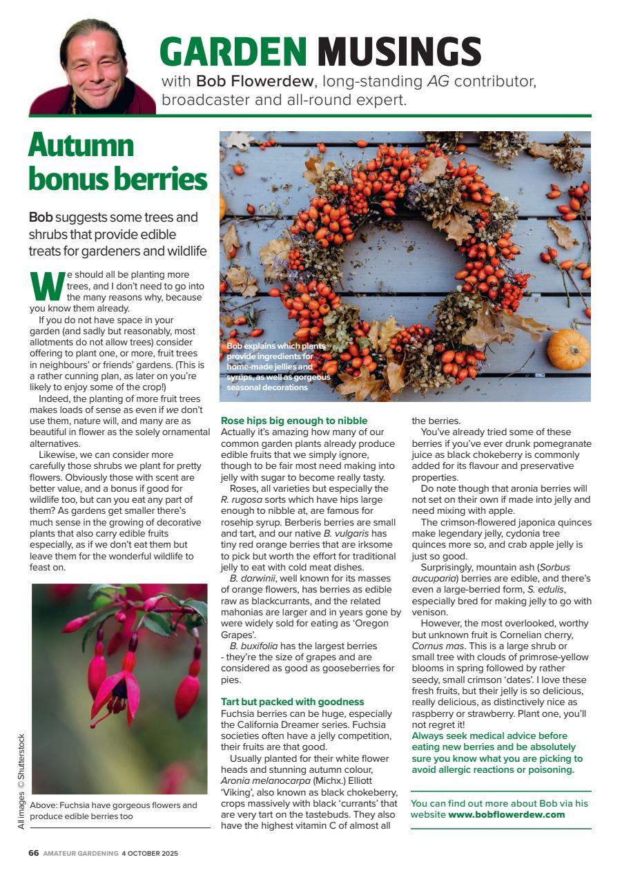 Amateur Gardening Preview Pages