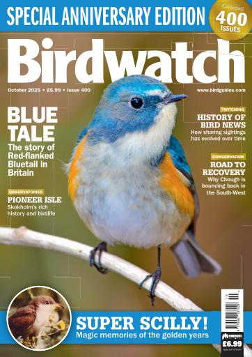 Birdwatch Magazine issue 