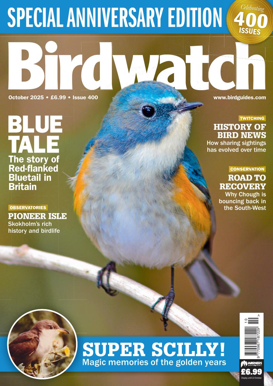 Birdwatch Magazine Preview Pages