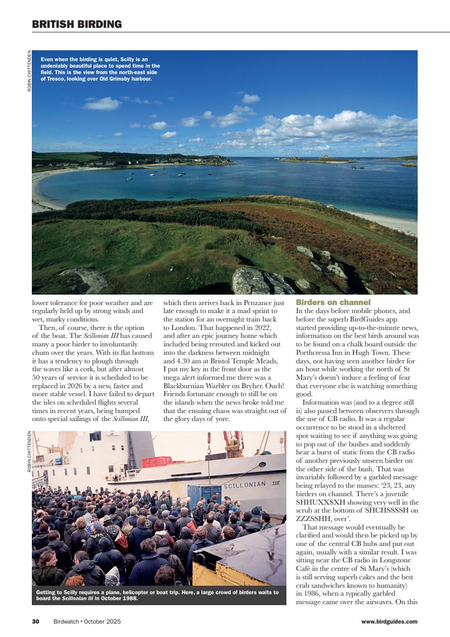 Birdwatch Magazine Preview Pages