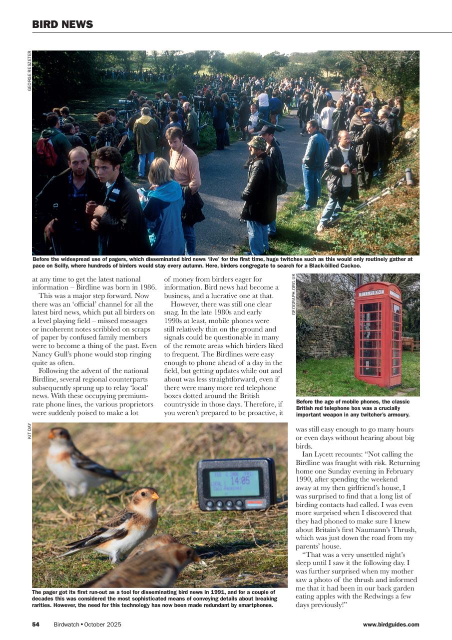 Birdwatch Magazine Preview Pages