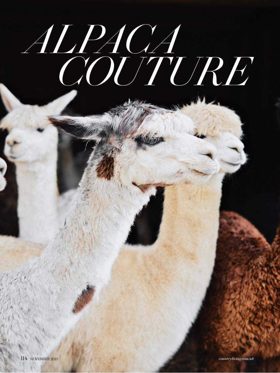 Country Living Preview Pages