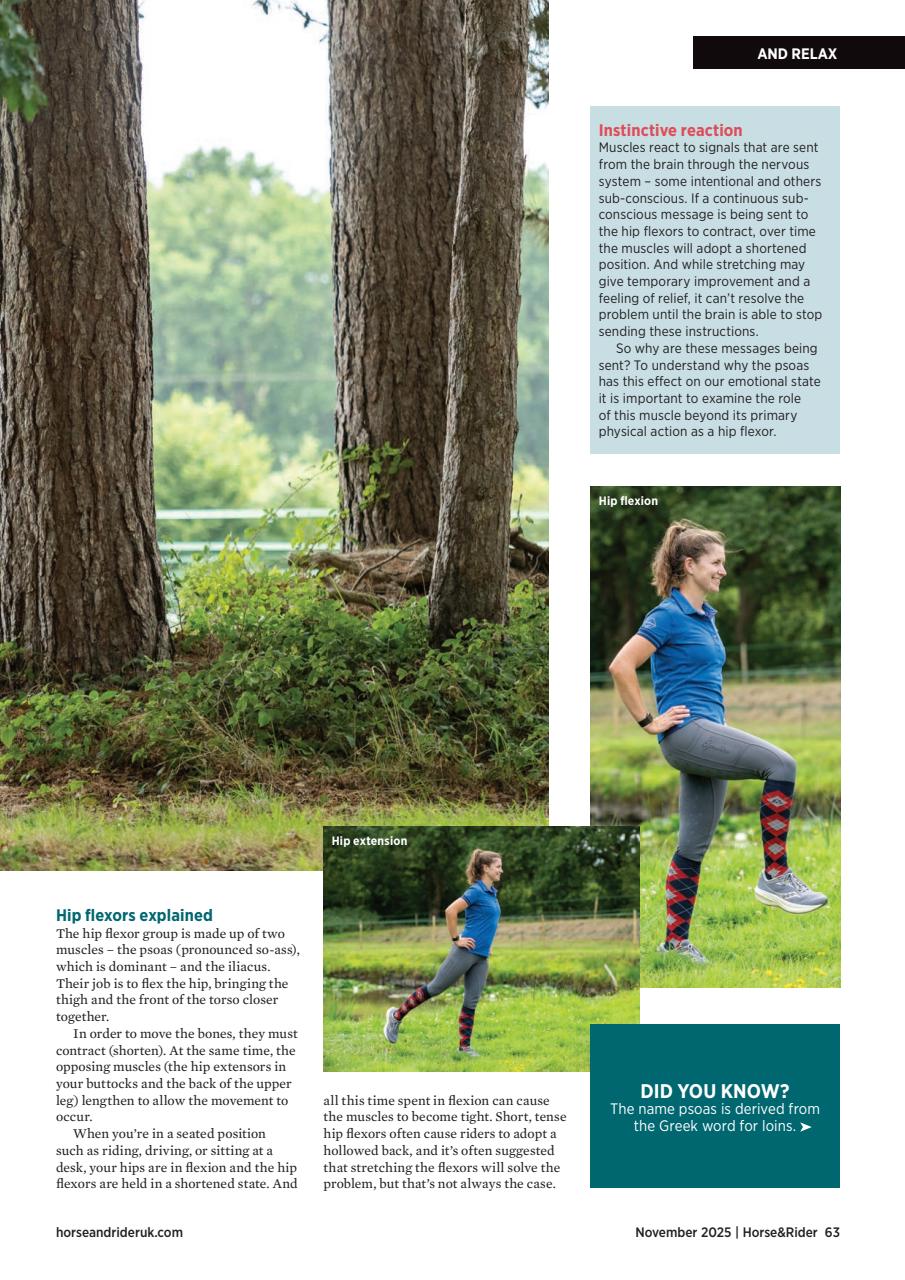 Horse&Rider Magazine - UK equestrian magazine for Horse and Rider Preview Pages