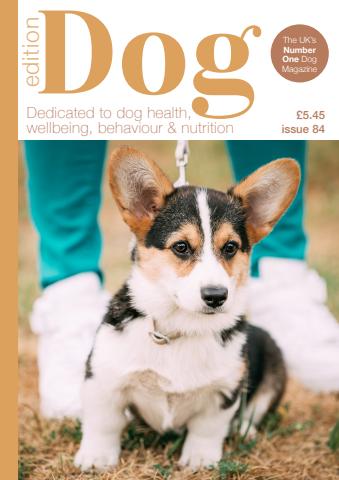 Edition Dog issue Edition Dog 84
