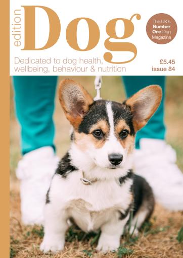 Edition Dog issue 