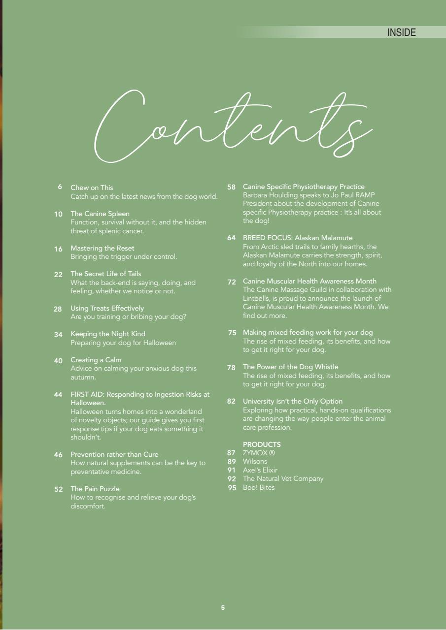 Edition Dog Preview Pages