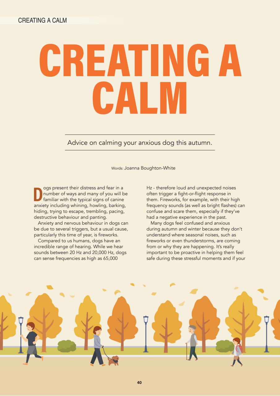 Edition Dog Preview Pages