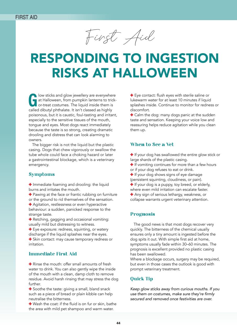 Edition Dog Preview Pages