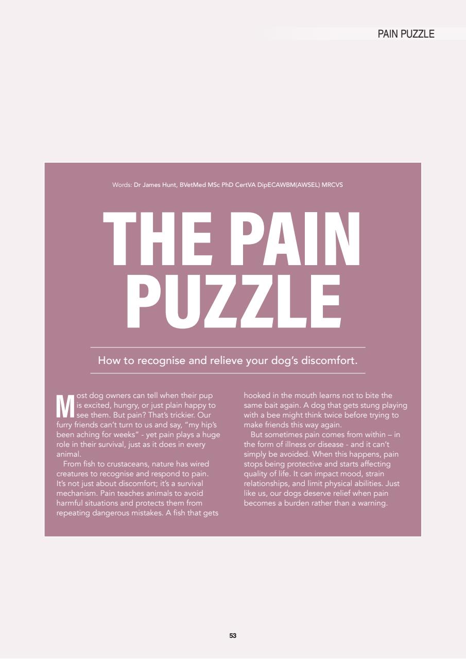 Edition Dog Preview Pages