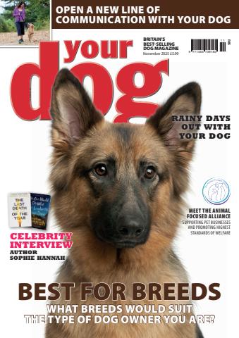 Your Dog issue November 2025
