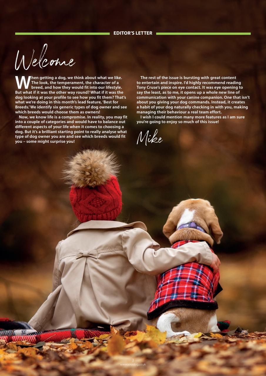 Your Dog Preview Pages