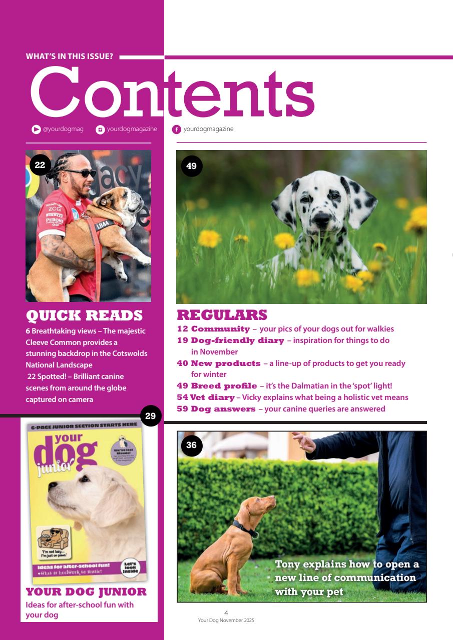 Your Dog Preview Pages