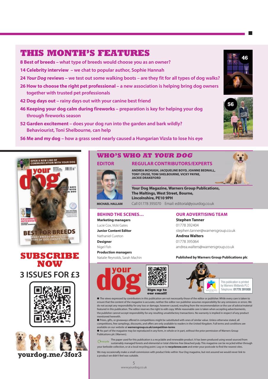 Your Dog Preview Pages