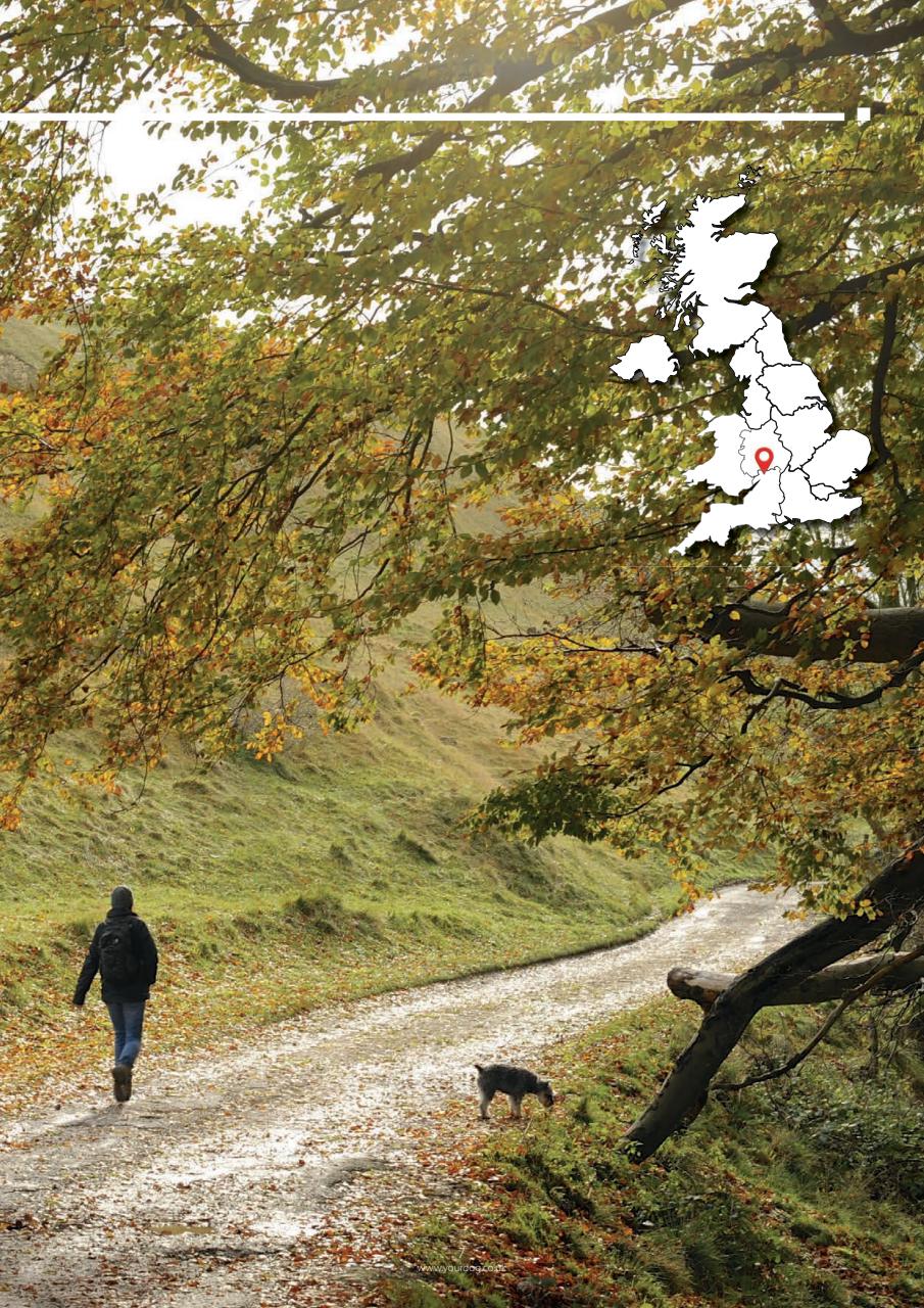 Your Dog Preview Pages