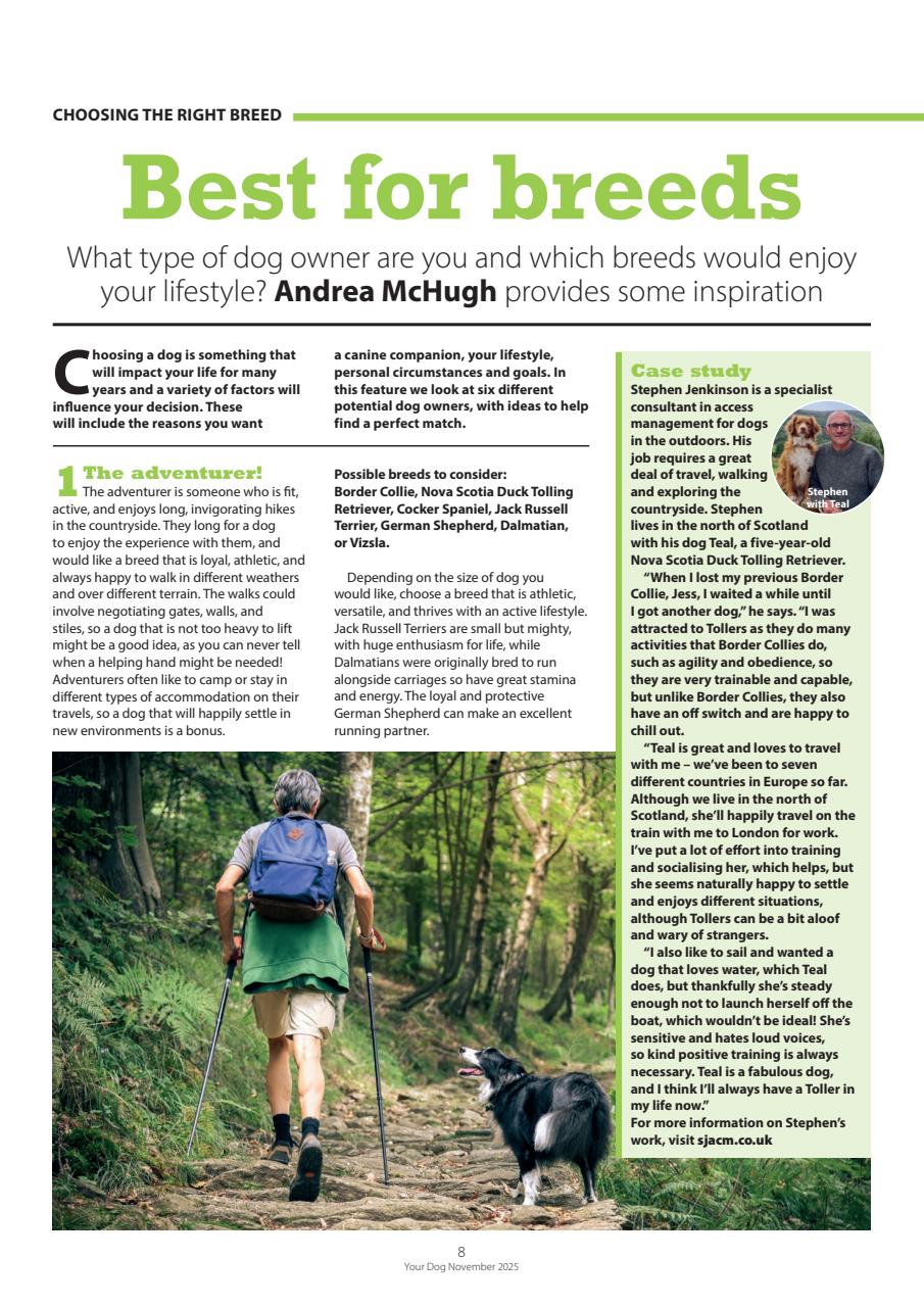 Your Dog Preview Pages