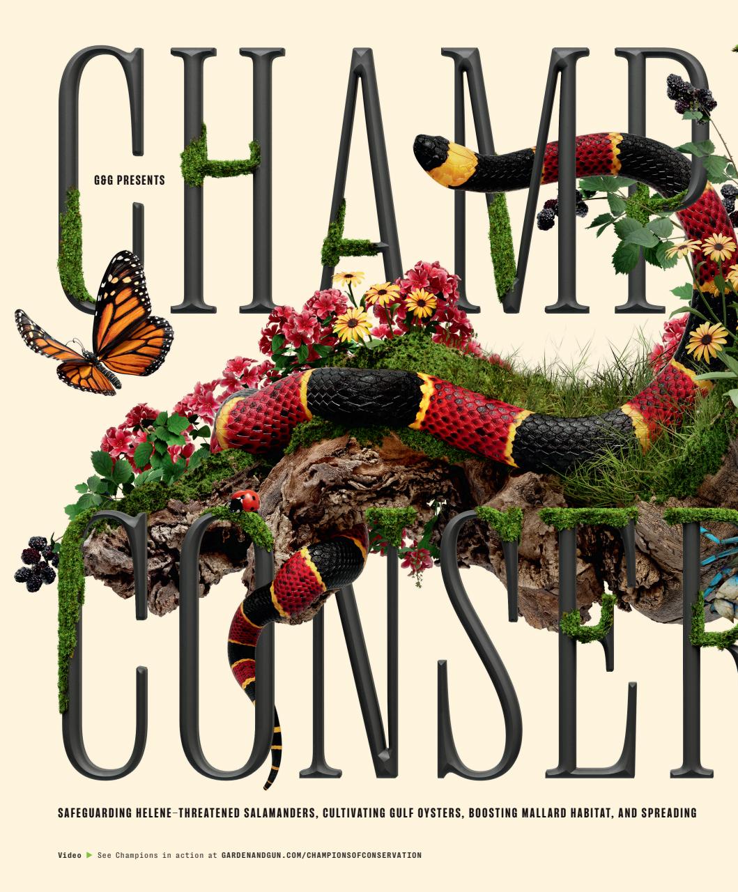 Garden and Gun Magazine Preview Pages