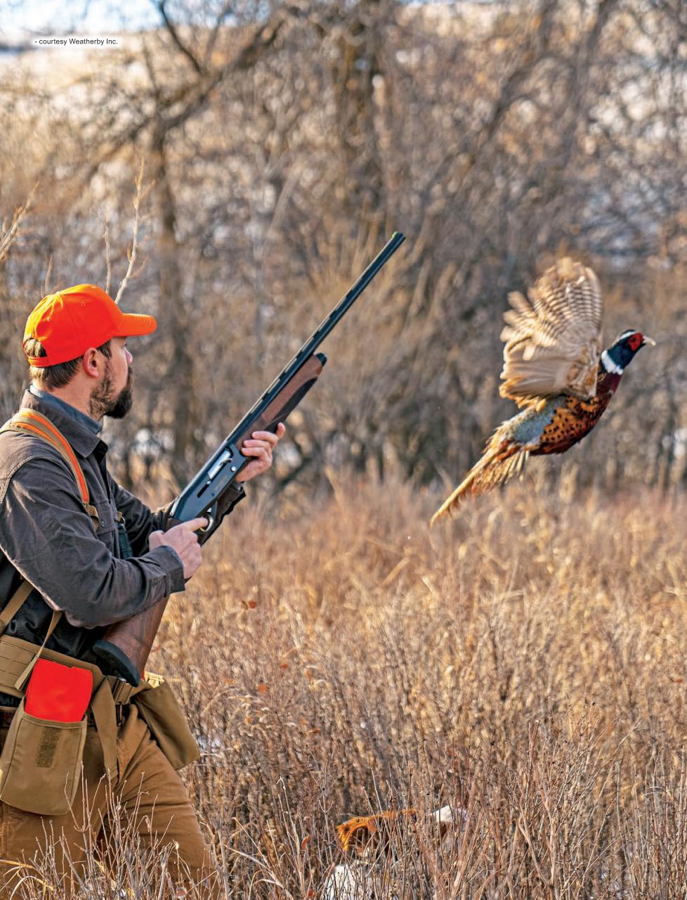 Alberta Outdoors Preview Pages