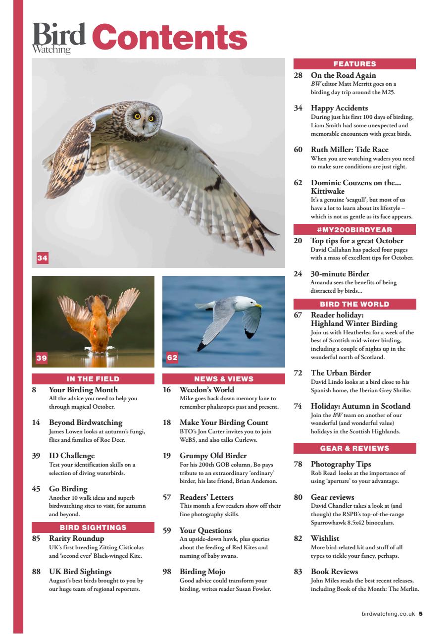 Bird Watching Preview Pages