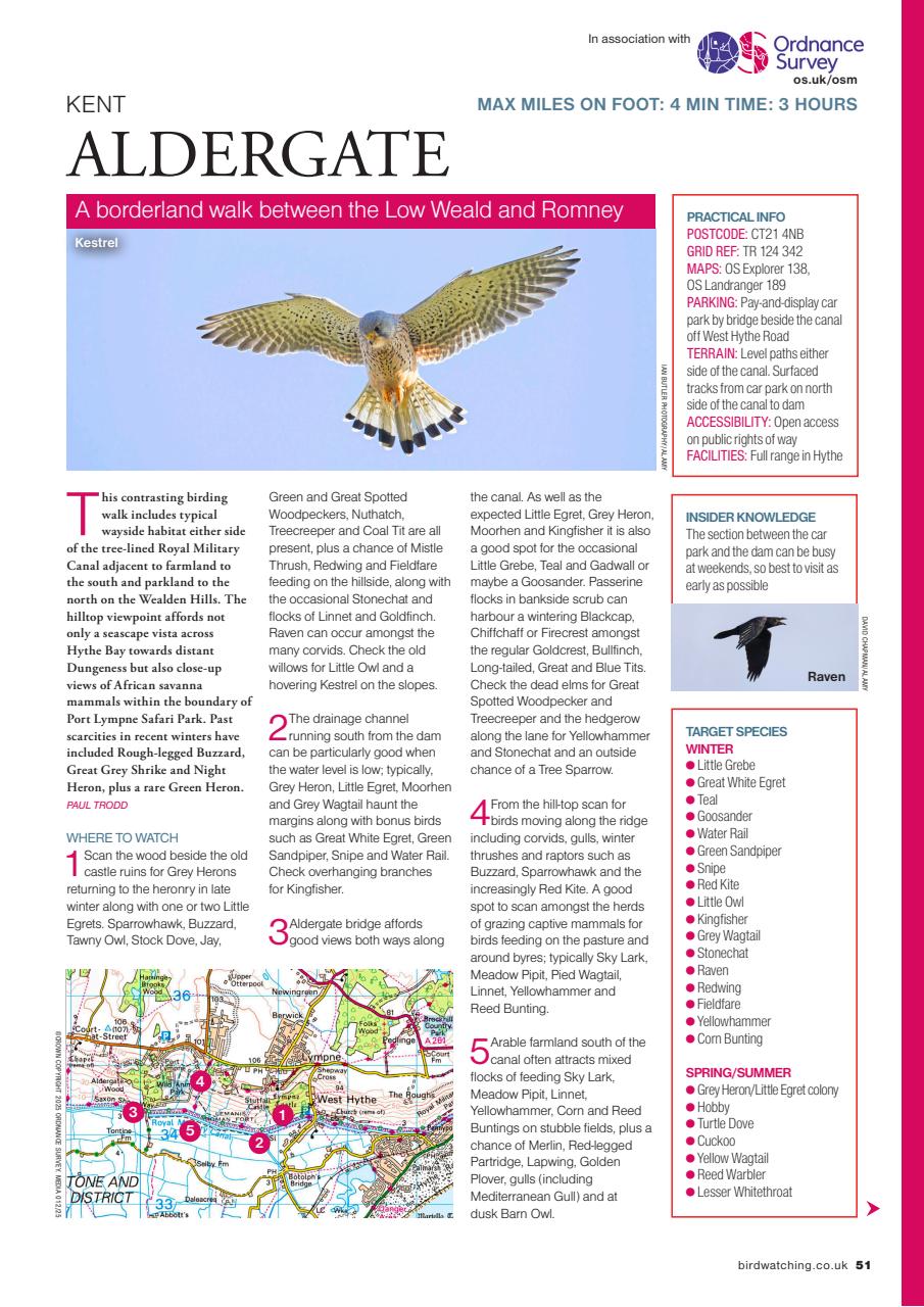 Bird Watching Preview Pages