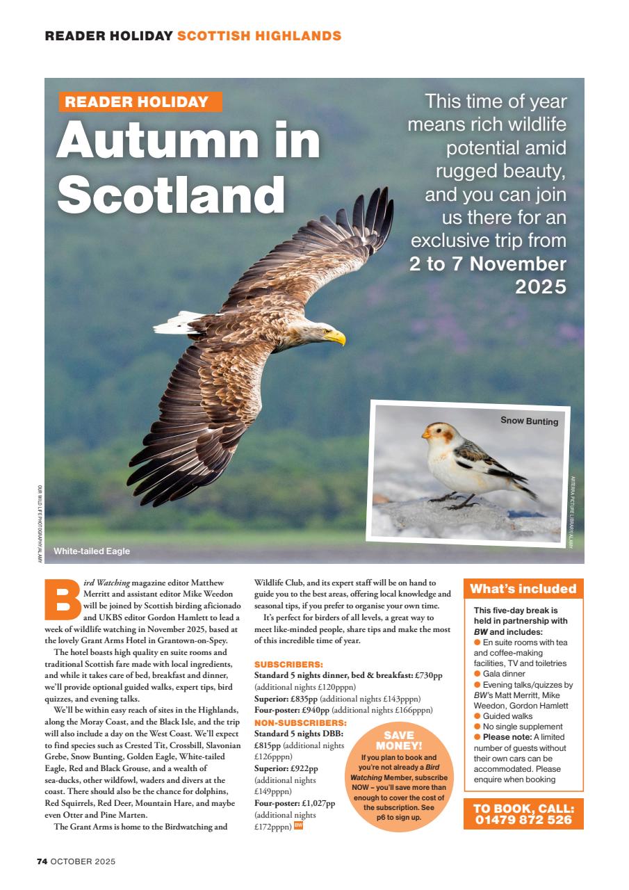 Bird Watching Preview Pages