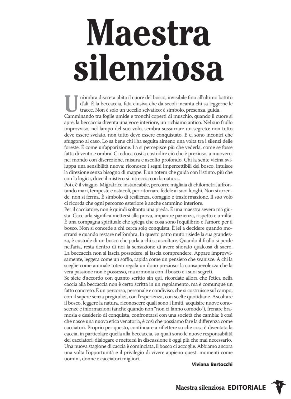 BECCACCE CHE PASSIONE Preview Pages