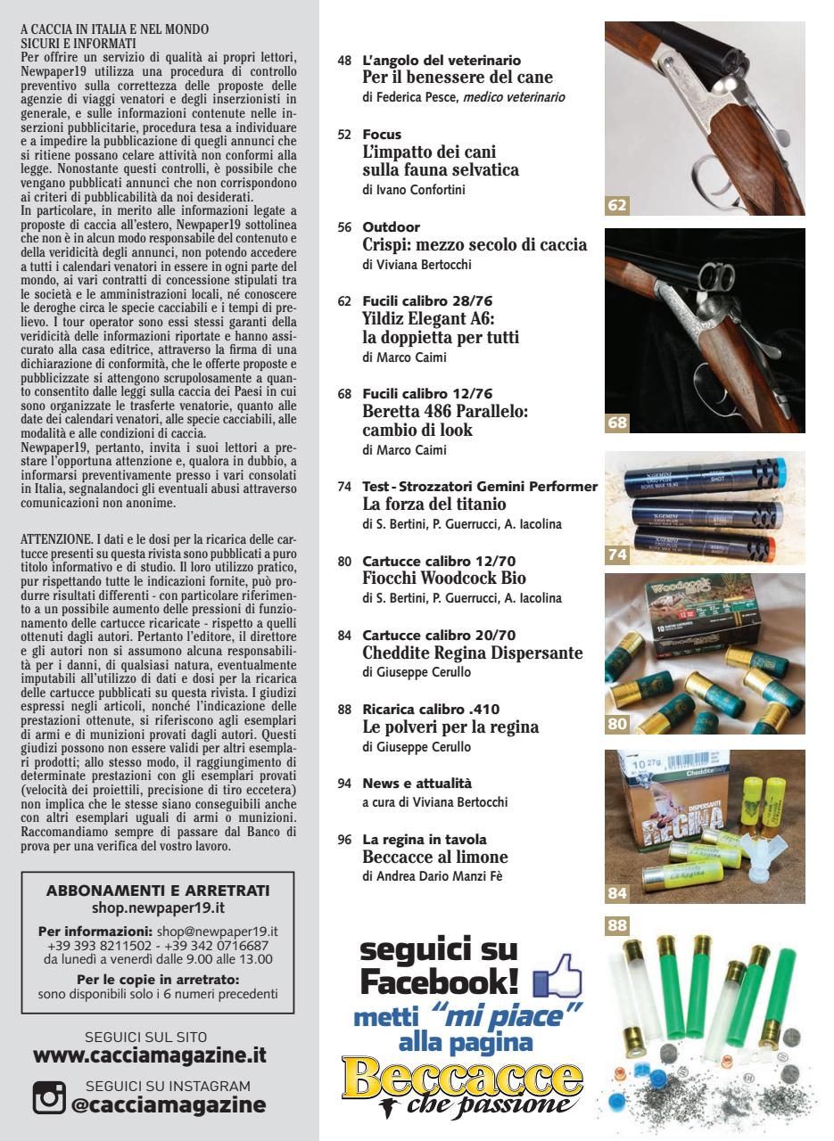 BECCACCE CHE PASSIONE Preview Pages