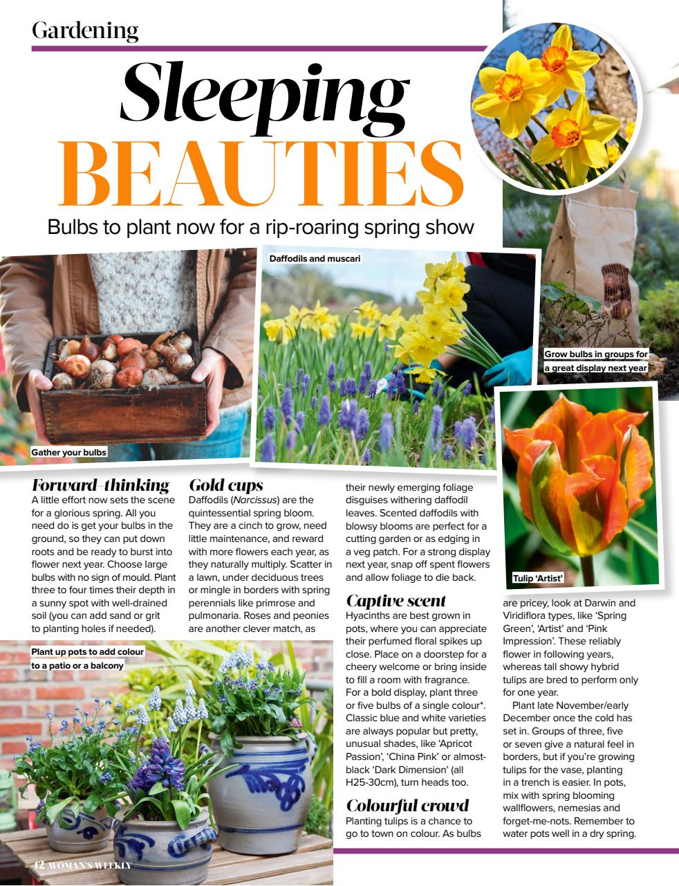 Woman's Weekly Preview Pages