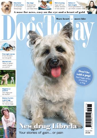 Dogs Today Magazine issue Issue 373