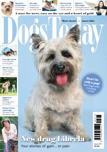 Dogs Today Magazine issue 