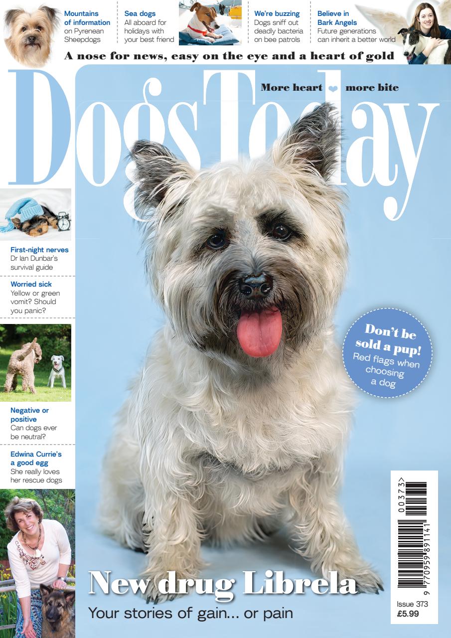 Dogs Today Magazine Preview Pages
