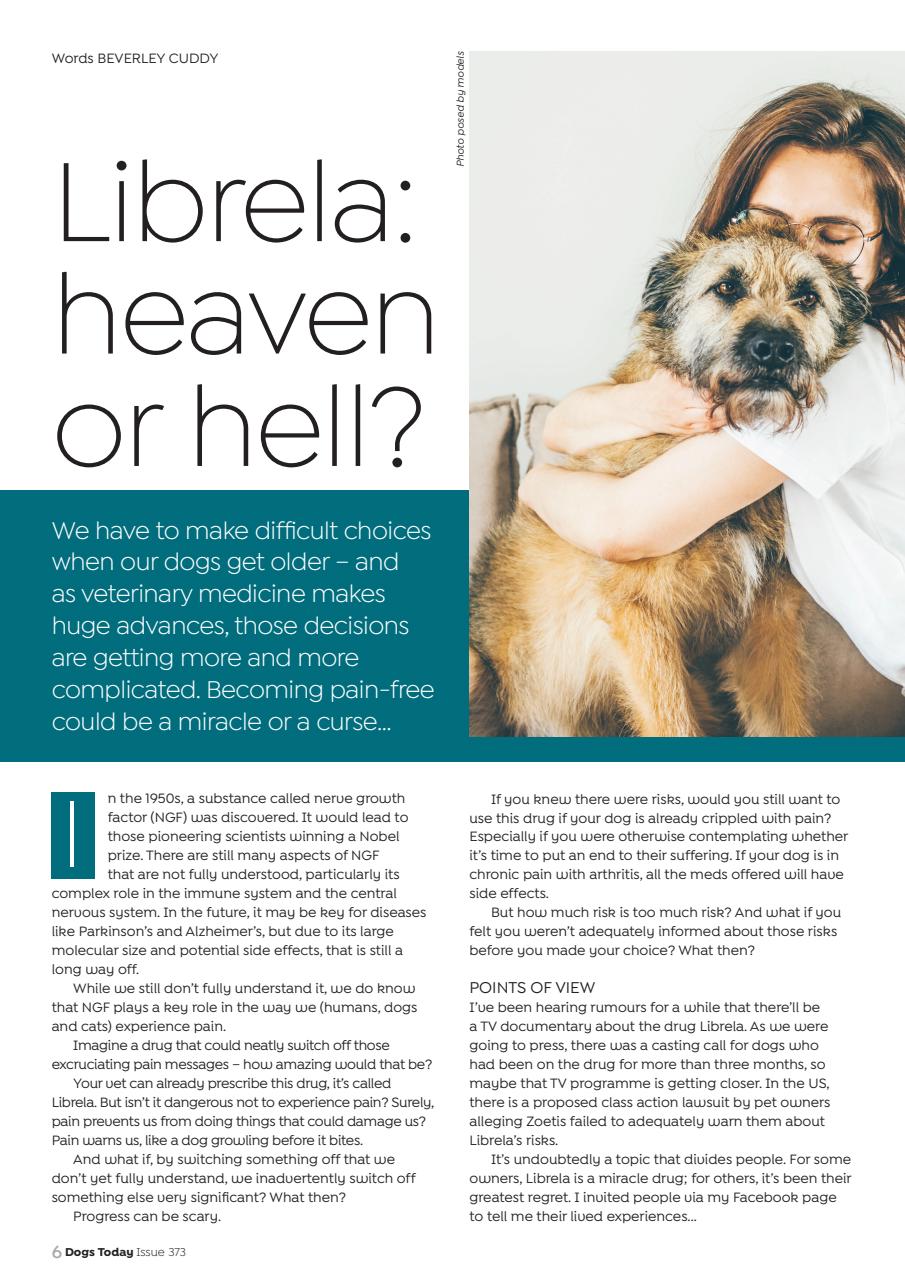 Dogs Today Magazine Preview Pages