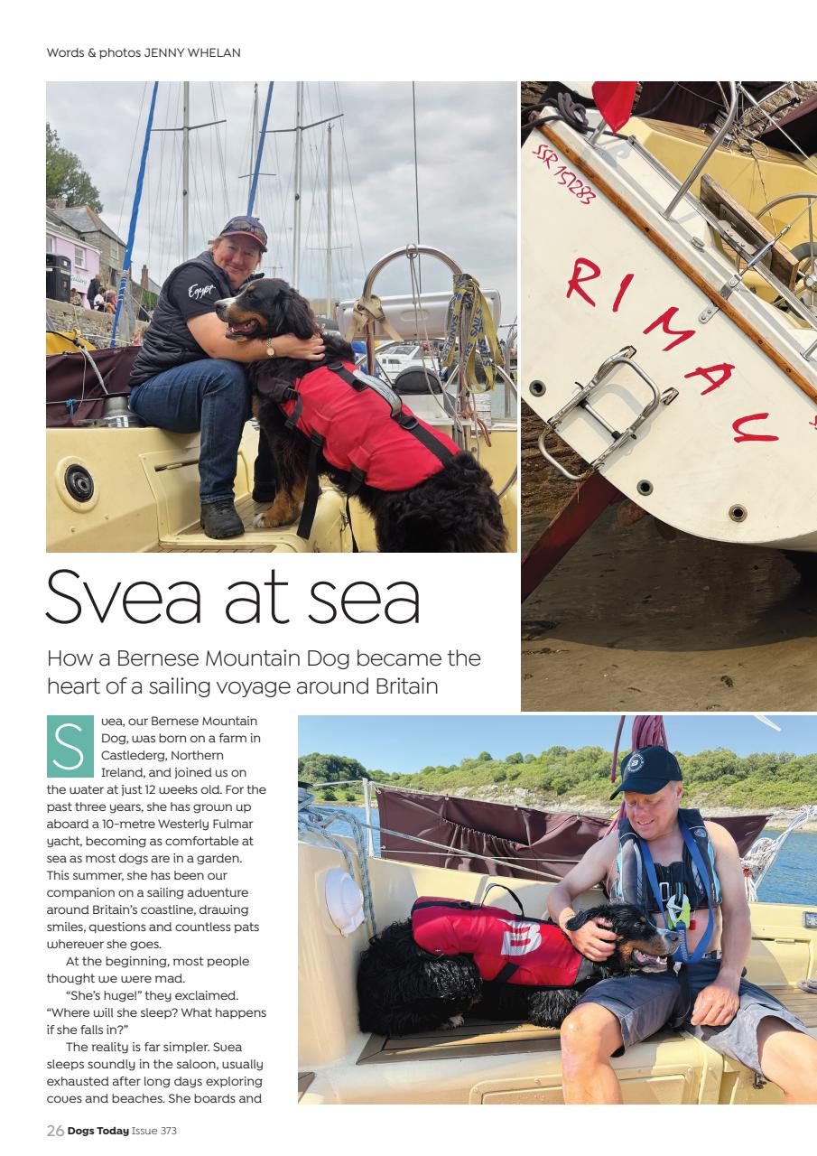 Dogs Today Magazine Preview Pages