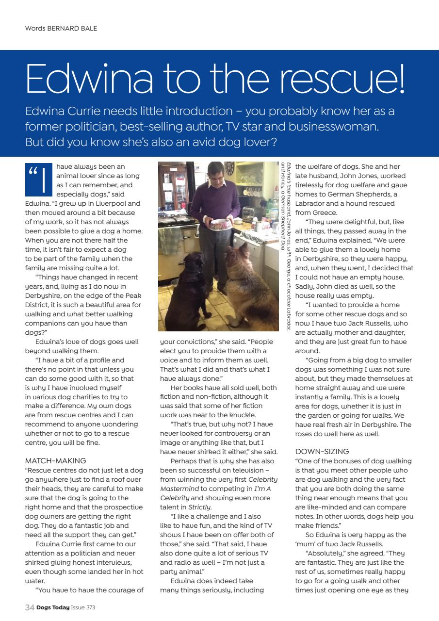 Dogs Today Magazine Preview Pages