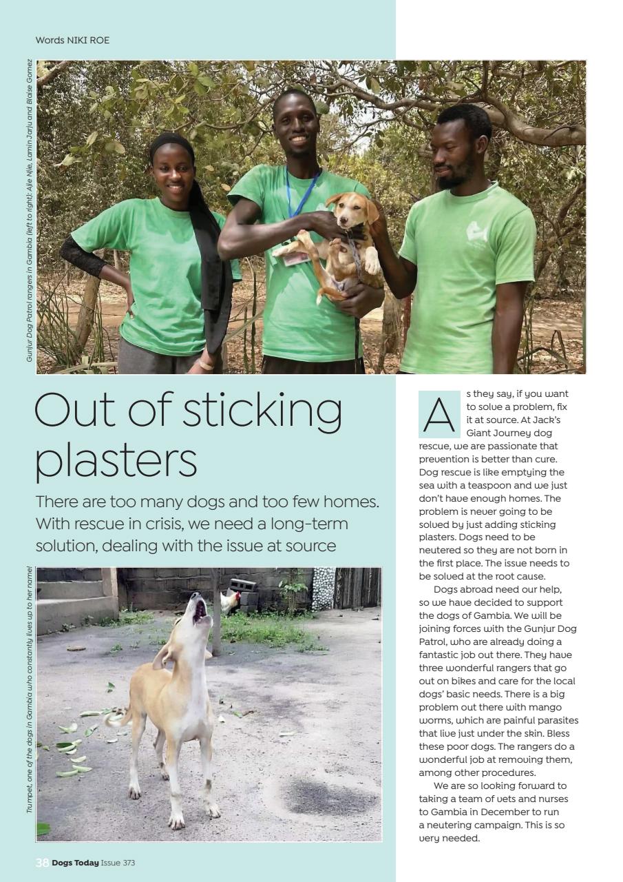 Dogs Today Magazine Preview Pages