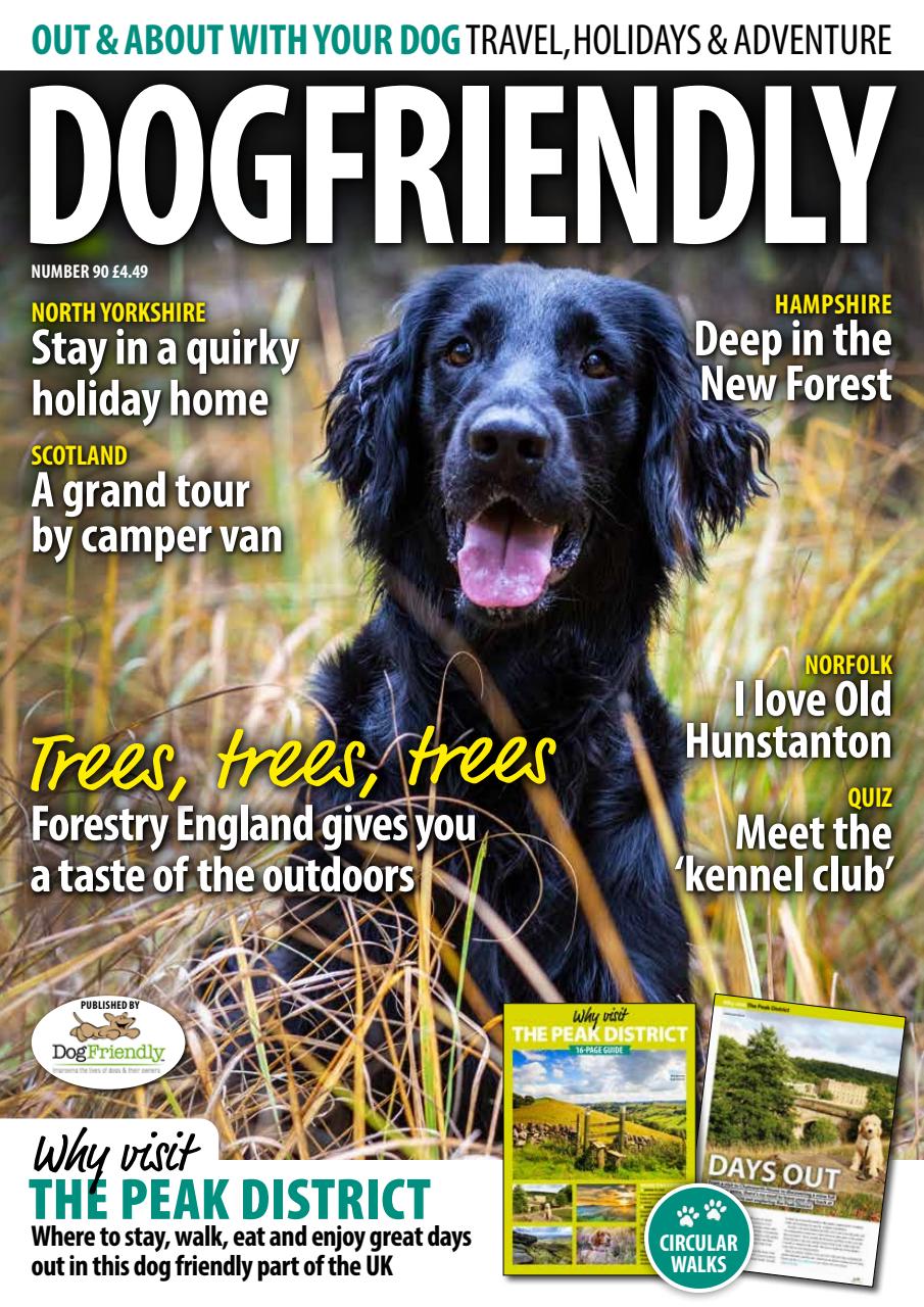 Dog Friendly Preview Pages